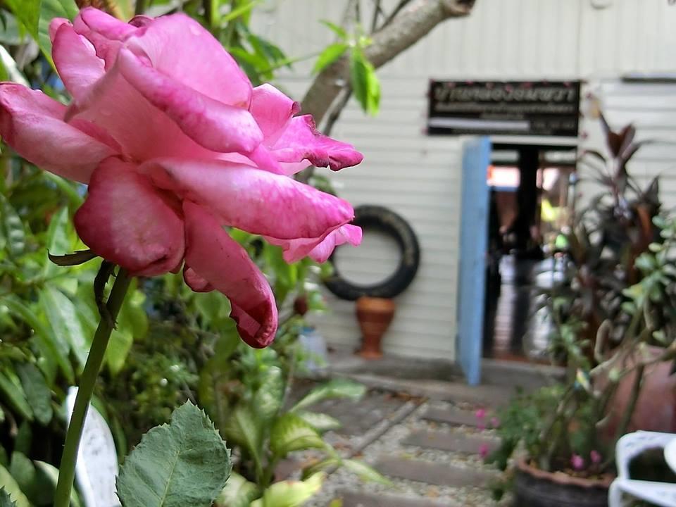 Baanklong Amphawa Homestay Ngoại thất bức ảnh
